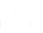 P&O Cruises