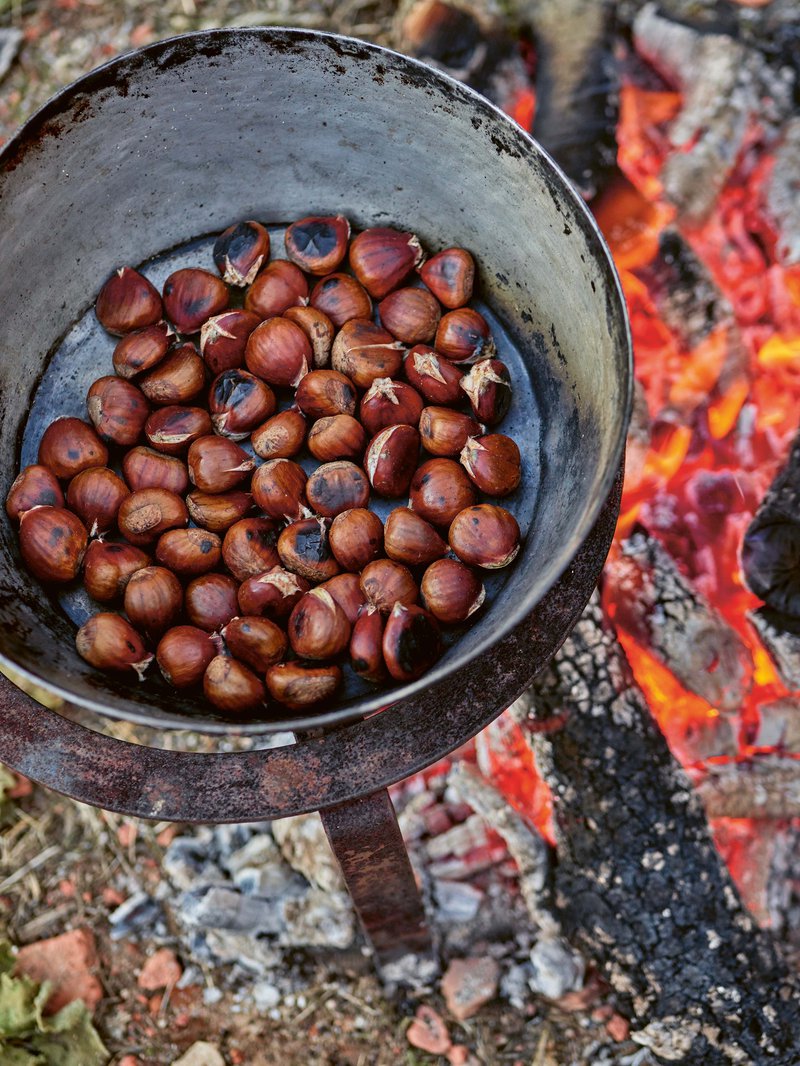Chess nuss royting oyn orn ofen fyeyeyeye.🎶 #chestnutsroastingonan, chestnuts roasting on an open fire guy